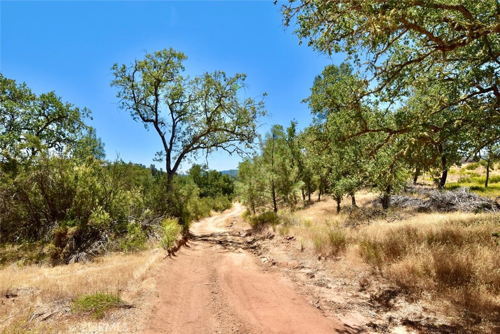 0 Bryson Hesperia Road