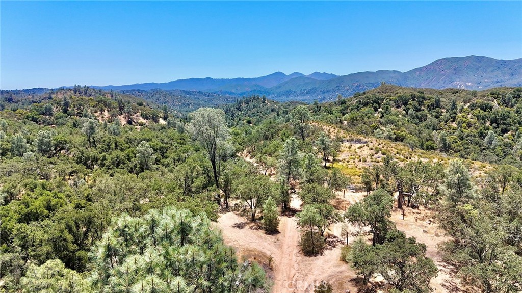 0 Bryson Hesperia Road