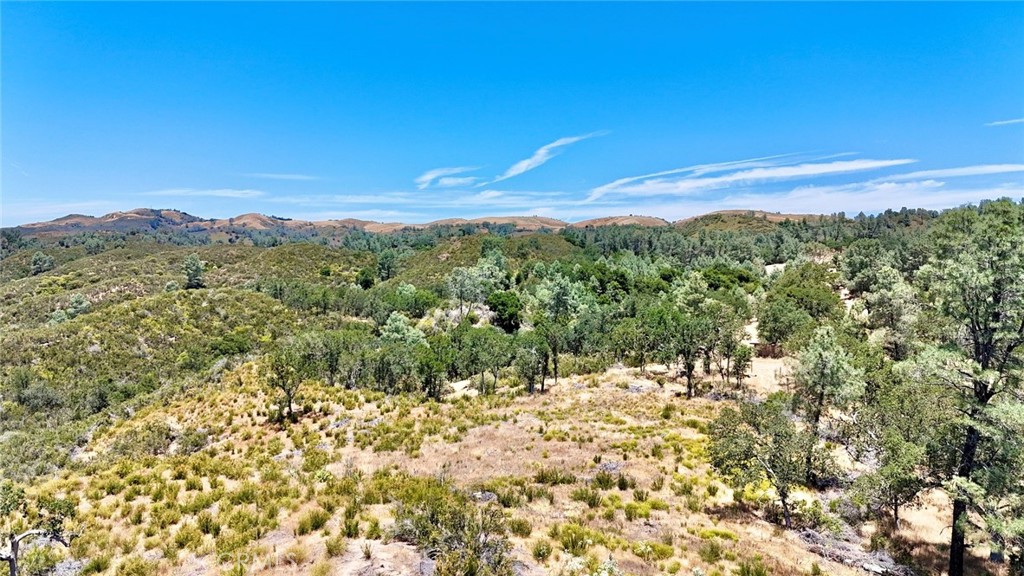 0 Bryson Hesperia Road