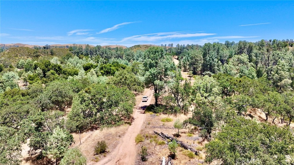 0 Bryson Hesperia Road