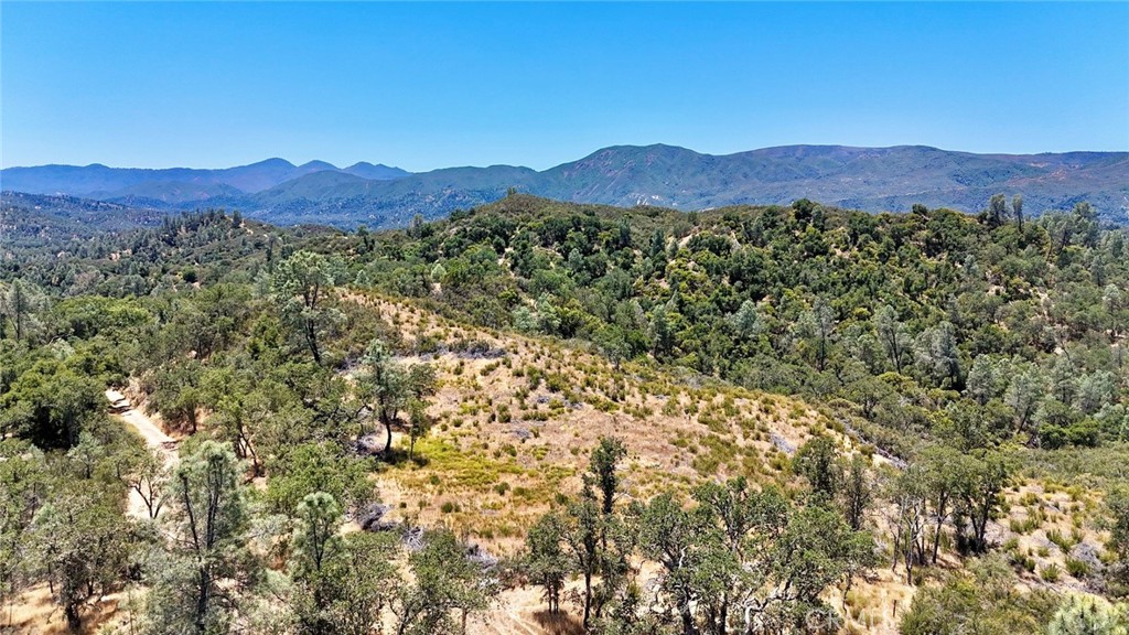 0 Bryson Hesperia Road