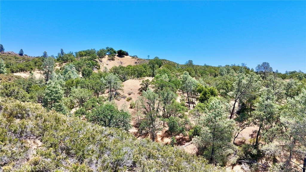 0 Bryson Hesperia Road