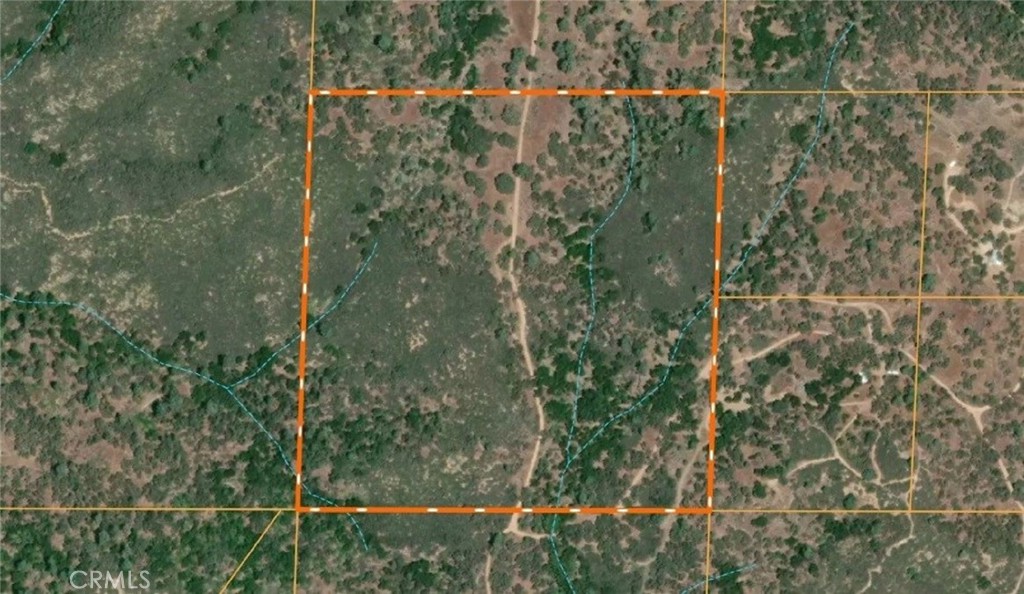 0 Bryson Hesperia Road