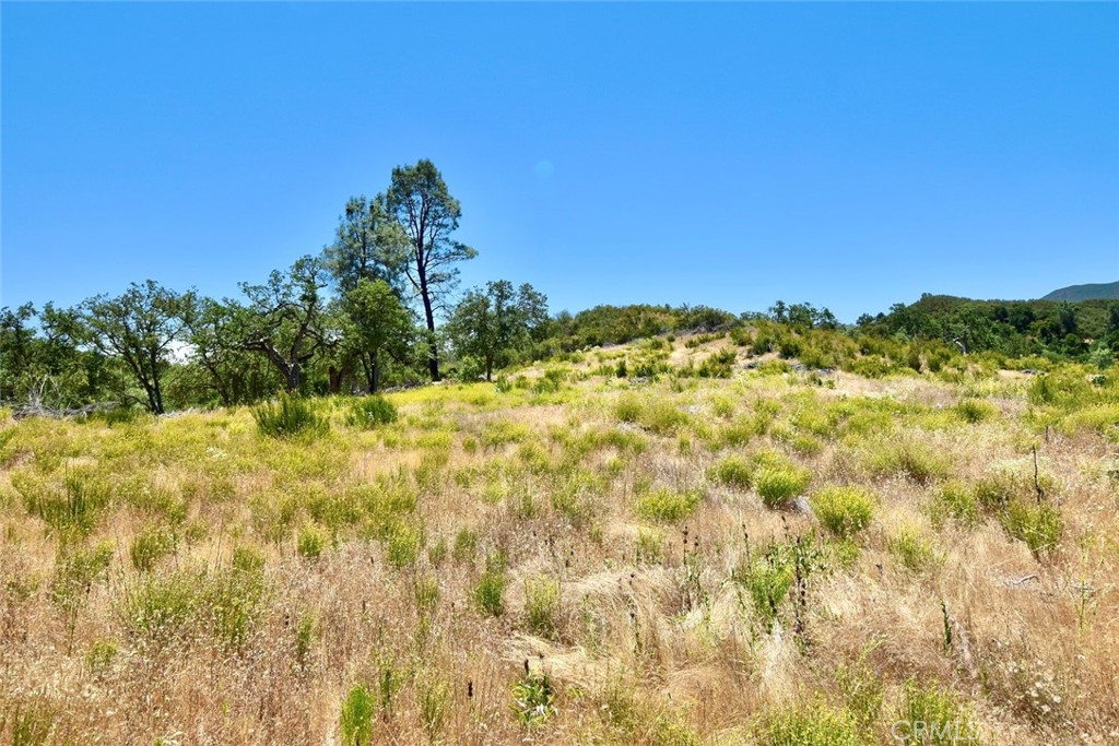 0 Bryson Hesperia Road