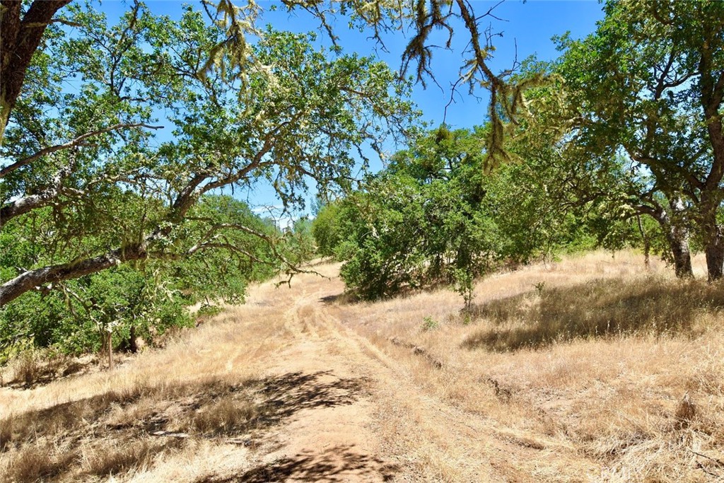 0 Bryson Hesperia Road