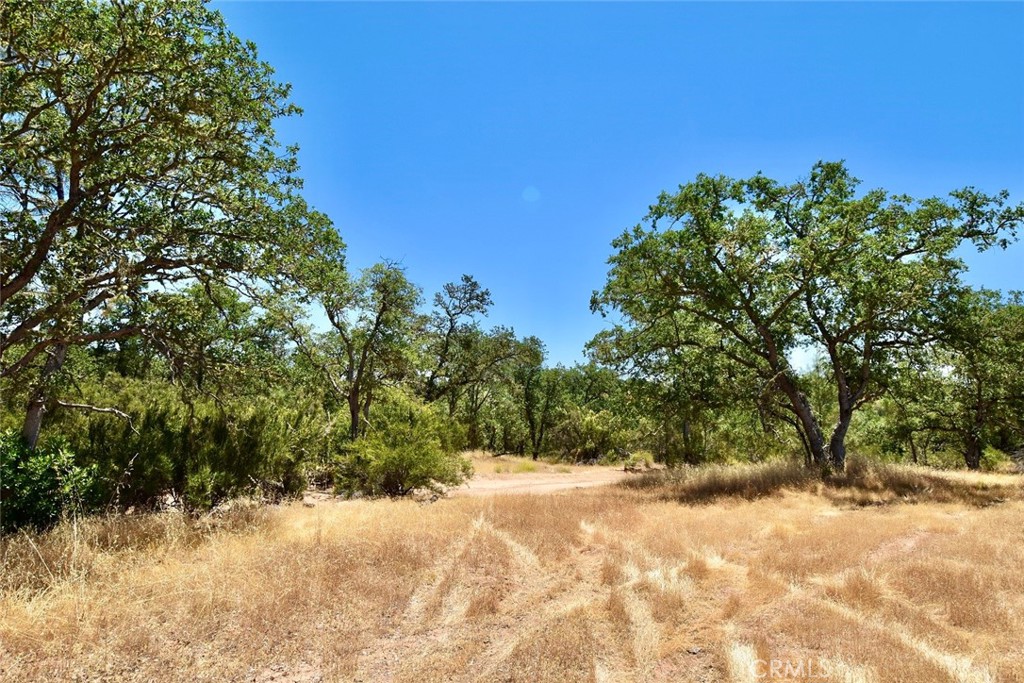 0 Bryson Hesperia Road