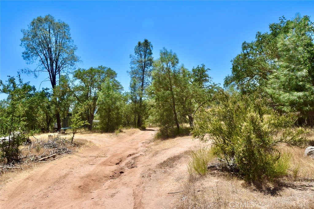 0 Bryson Hesperia Road