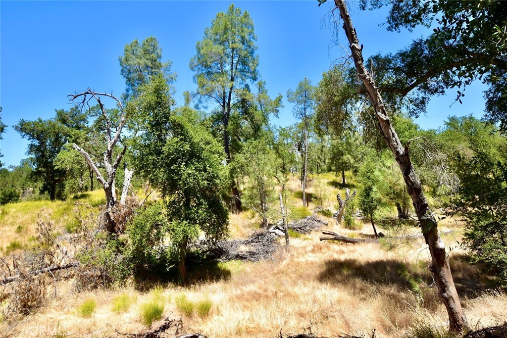 0 Bryson Hesperia Road