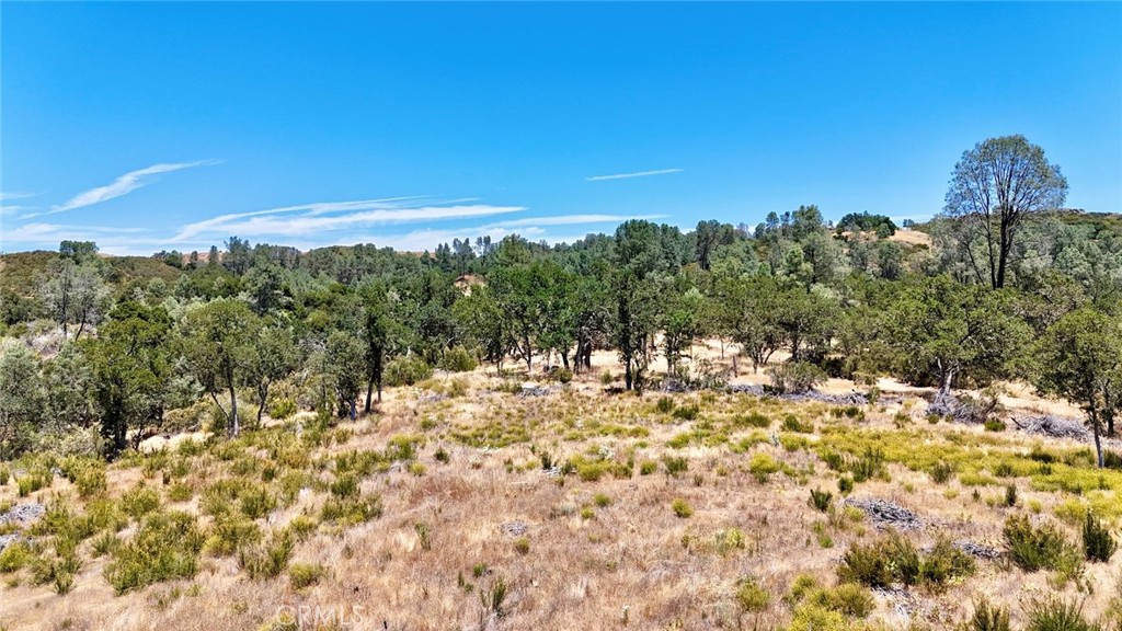 0 Bryson Hesperia Road