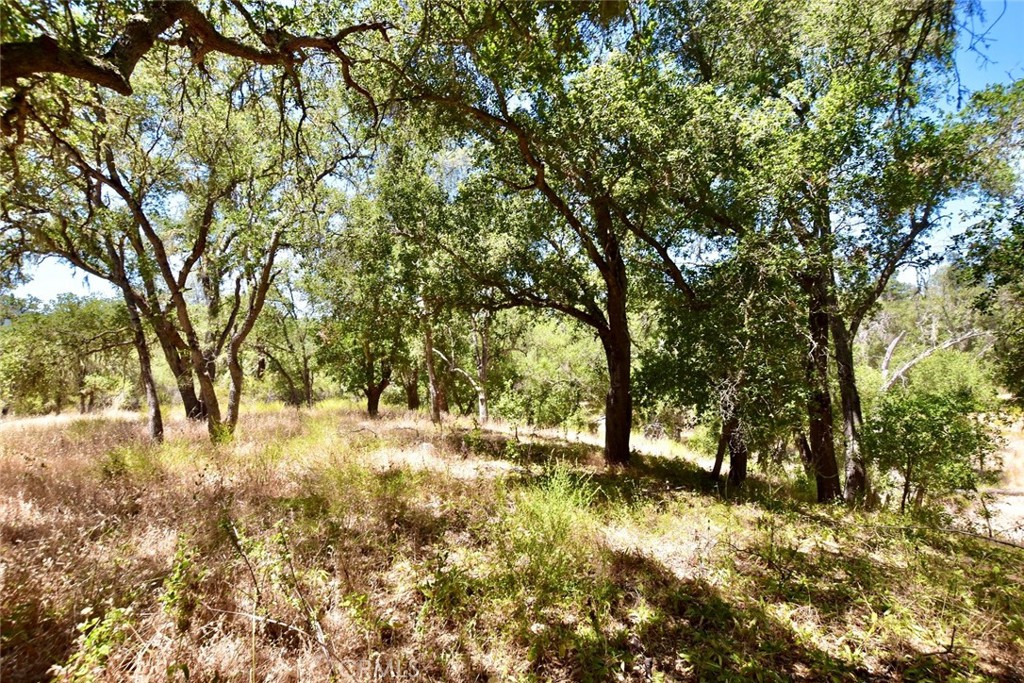 0 Bryson Hesperia Road