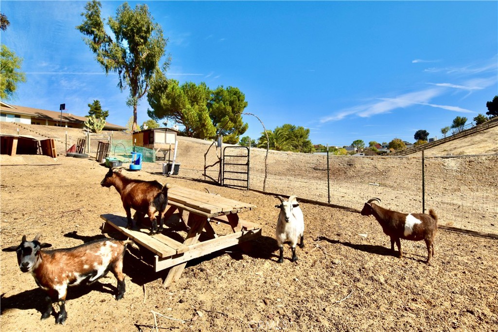 5895 Silverado Place