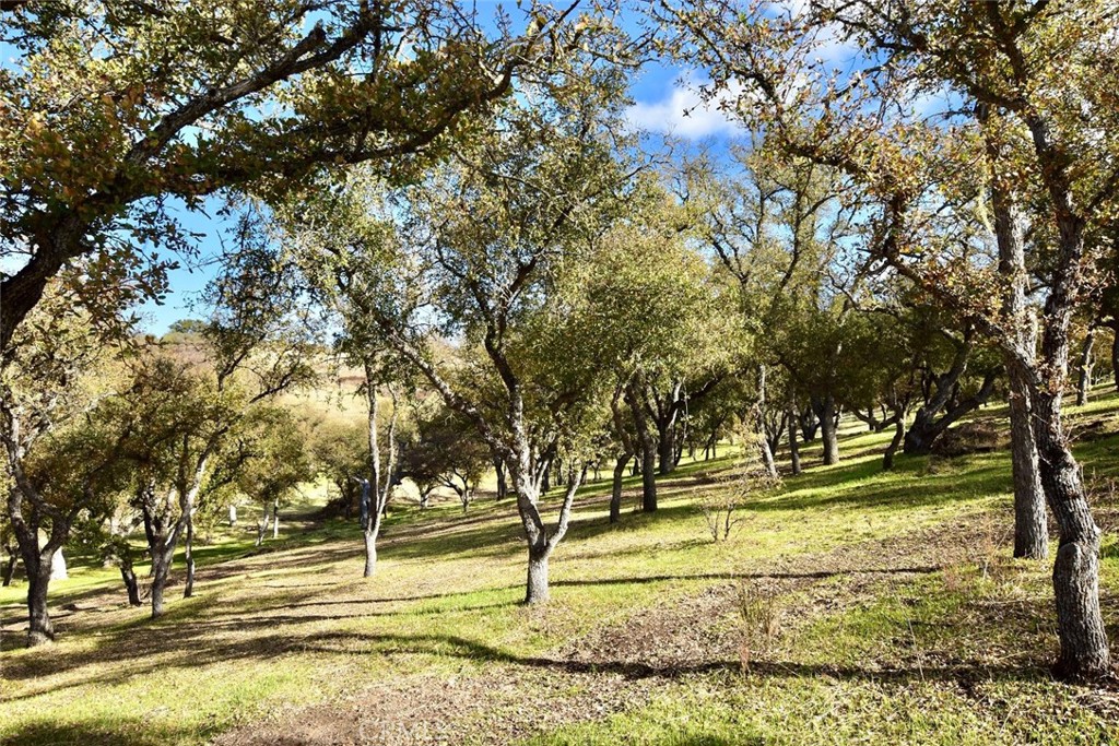 54518 Bradley-Lockwood Road