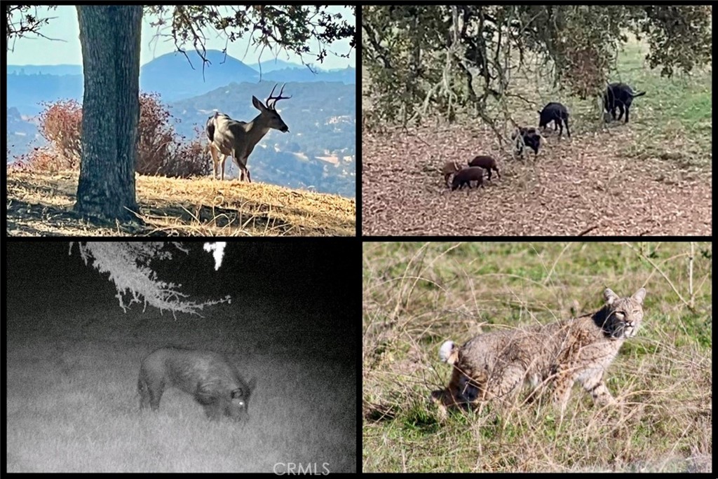 54518 Bradley-Lockwood Road