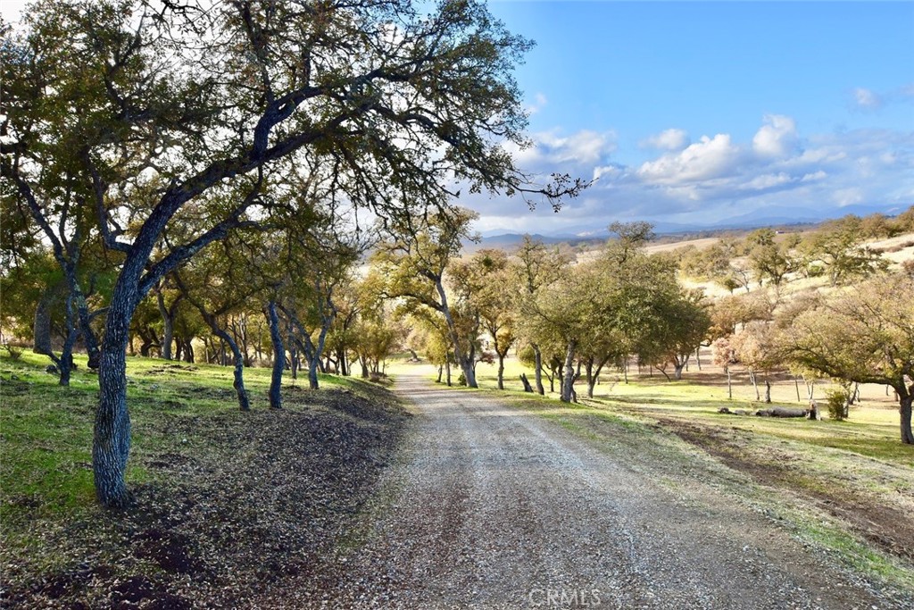 54518 Bradley-Lockwood Road