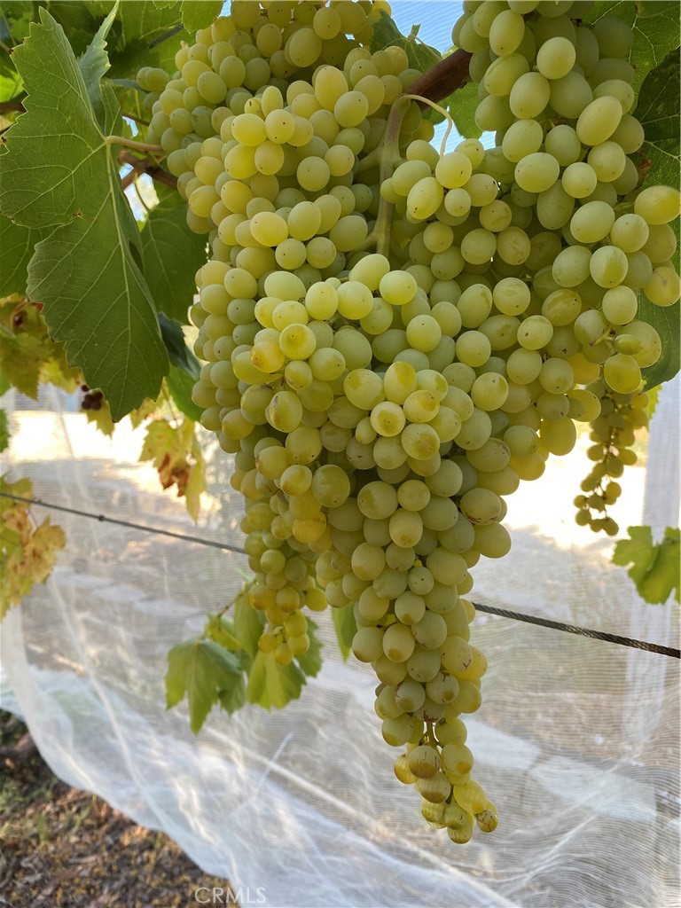 6950 Chardonnay Road