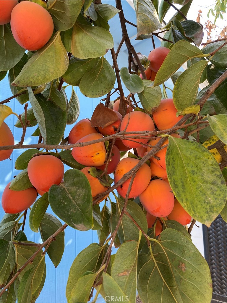 6950 Chardonnay Road