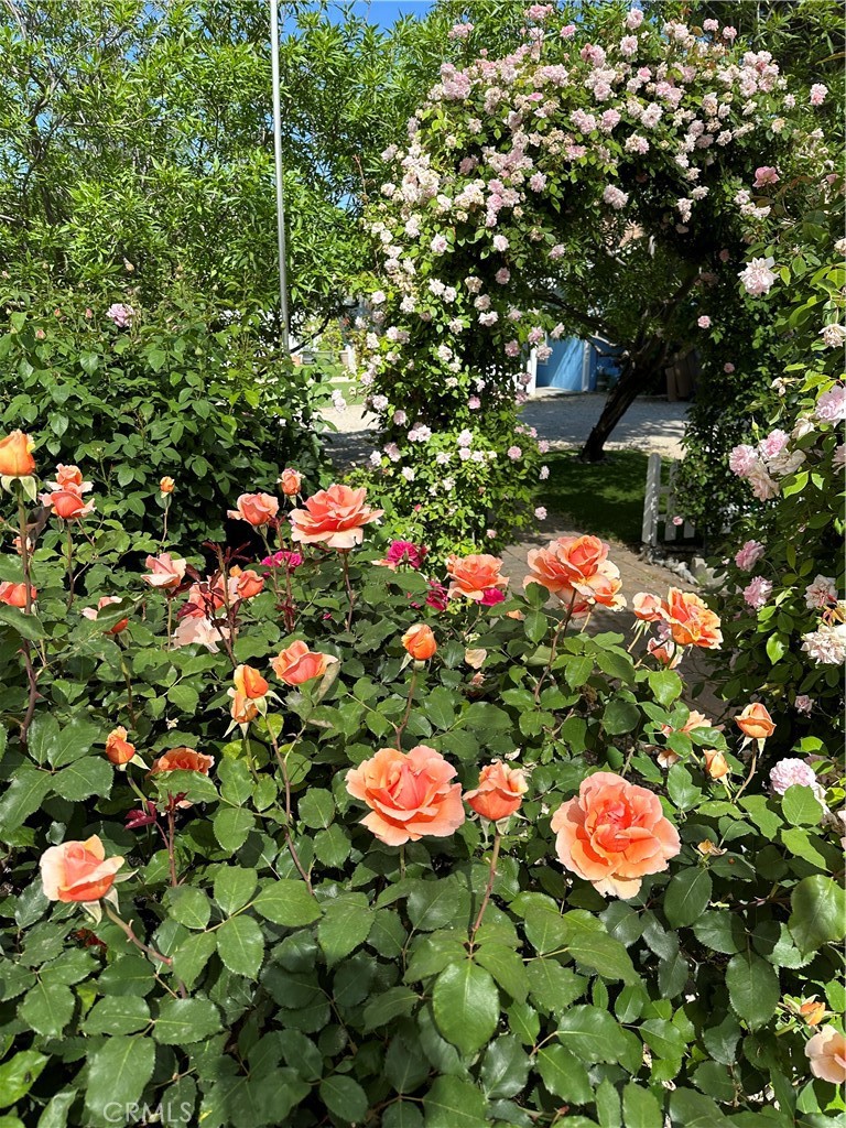 6950 Chardonnay Road