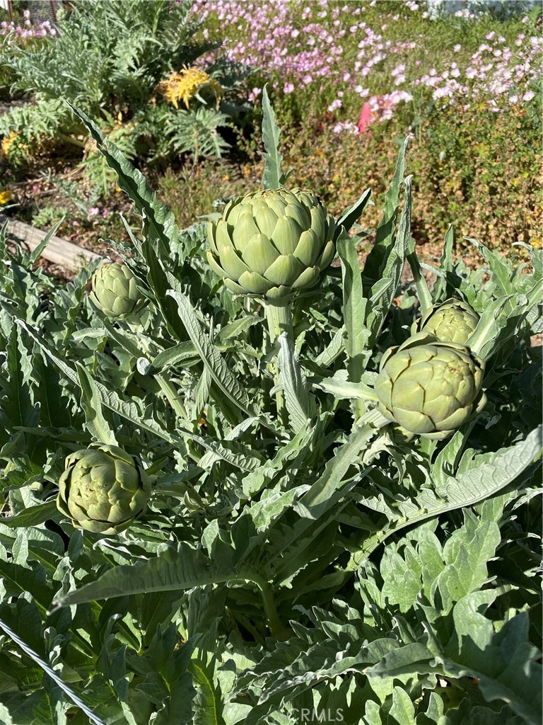 6950 Chardonnay Road