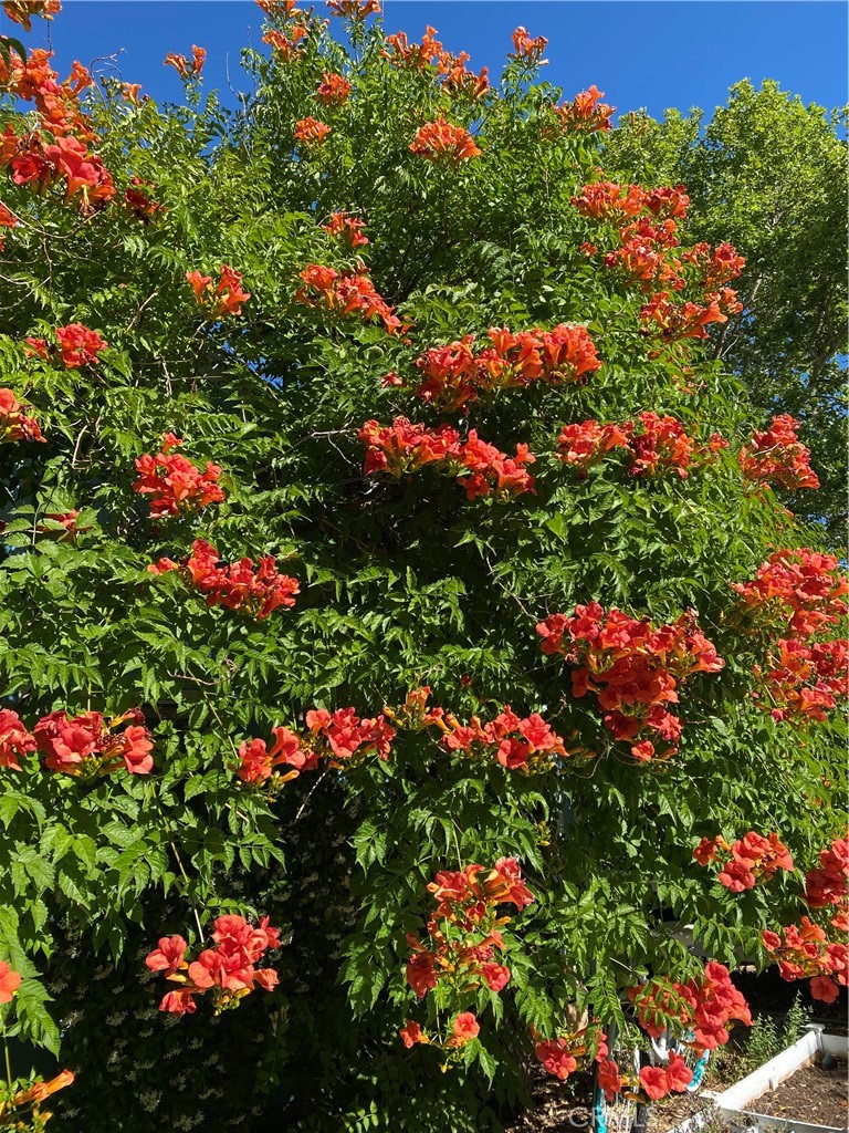 6950 Chardonnay Road