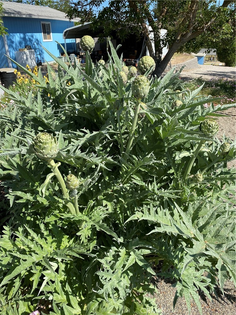 6950 Chardonnay Road