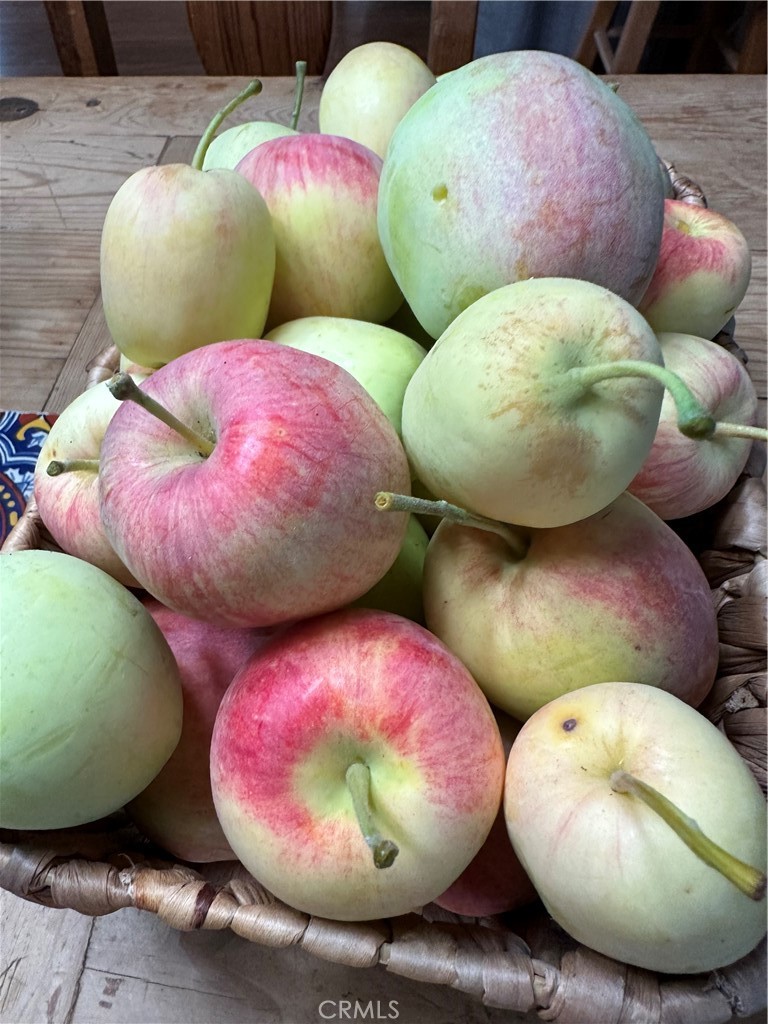 6950 Chardonnay Road