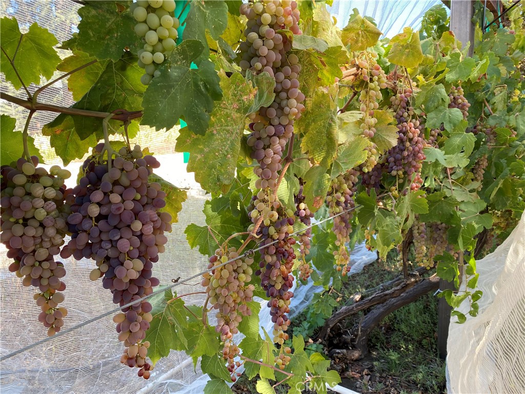 6950 Chardonnay Road