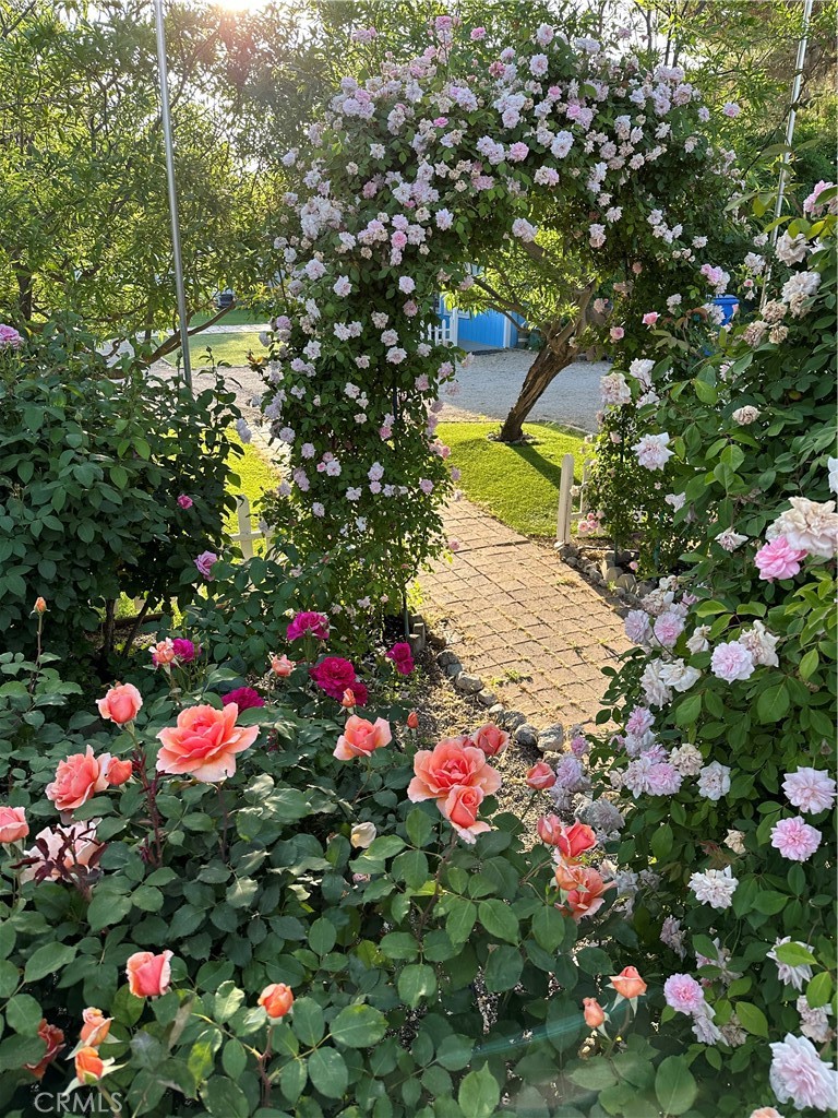 6950 Chardonnay Road