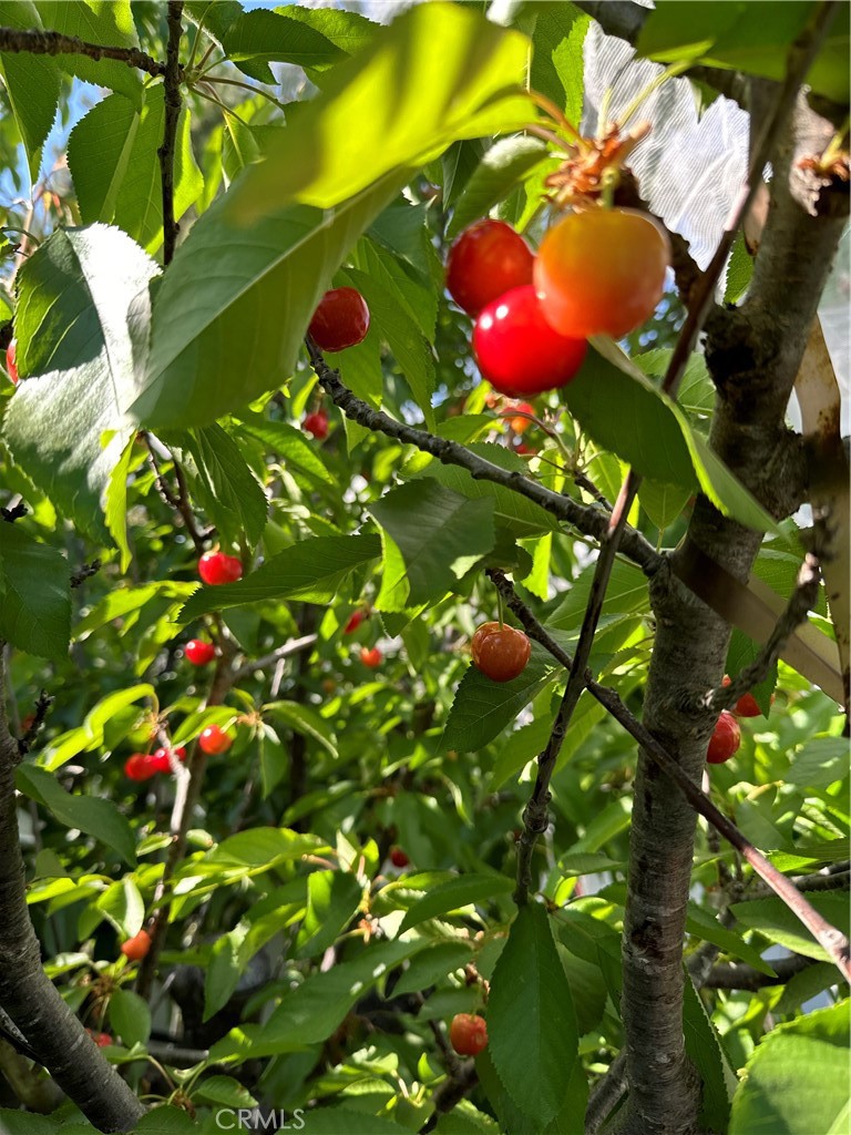 6950 Chardonnay Road