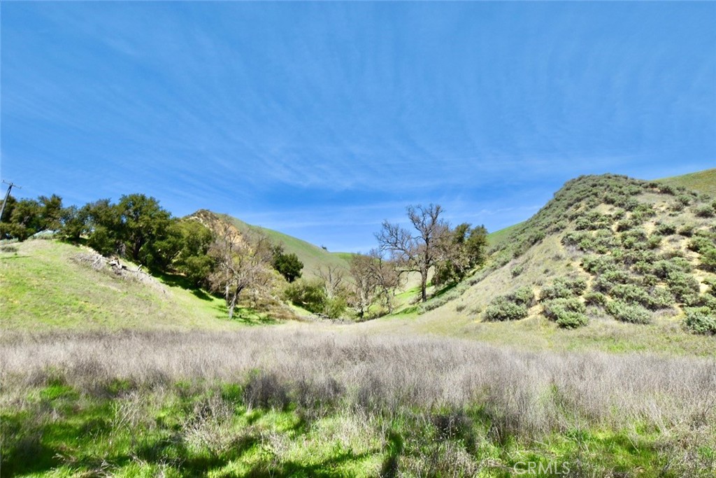 74921 Copperhead Road