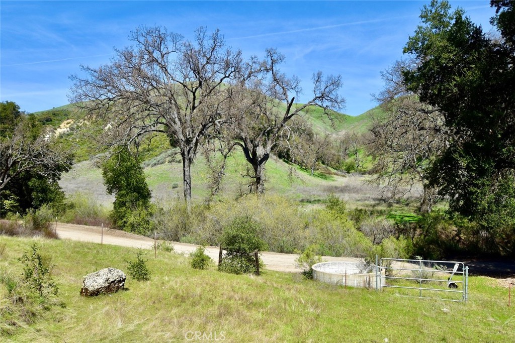 74921 Copperhead Road