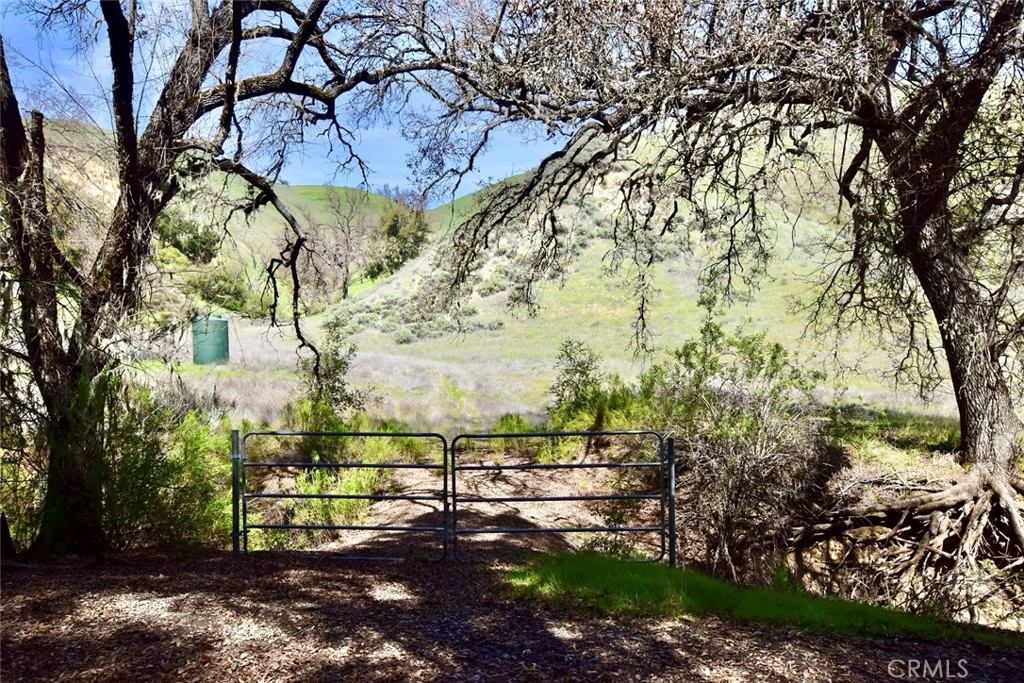 74921 Copperhead Road