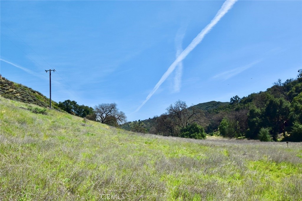 74921 Copperhead Road