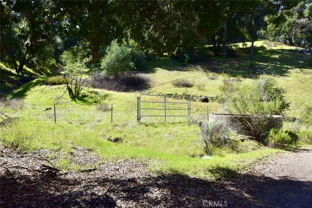 74921 Copperhead Road