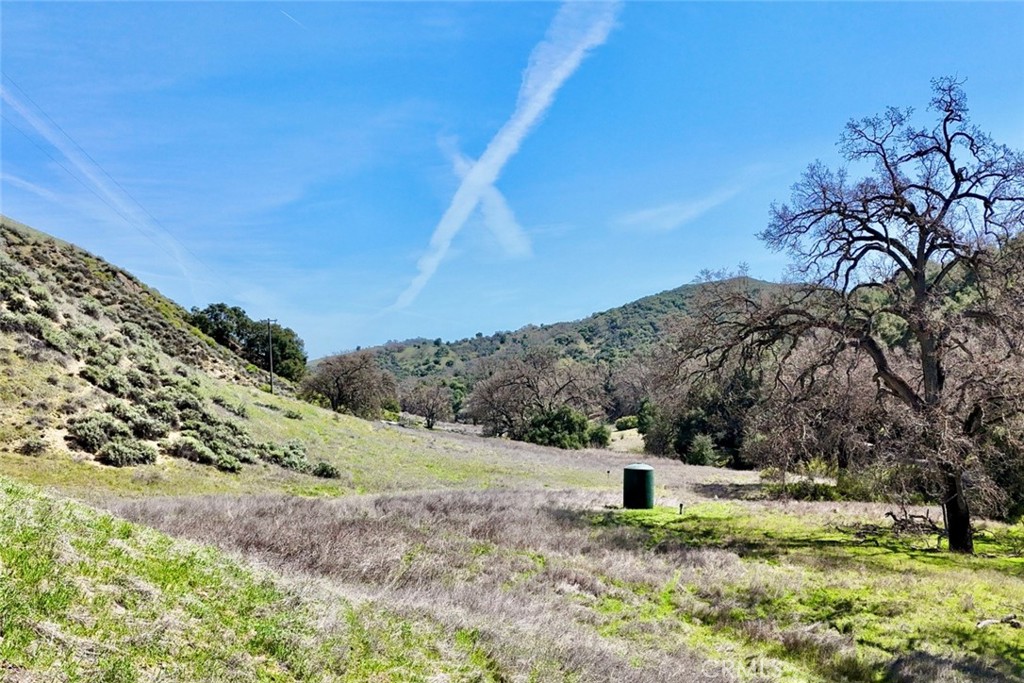 74921 Copperhead Road