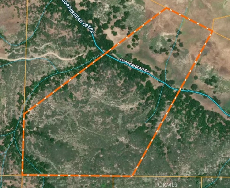 74921 Copperhead Road