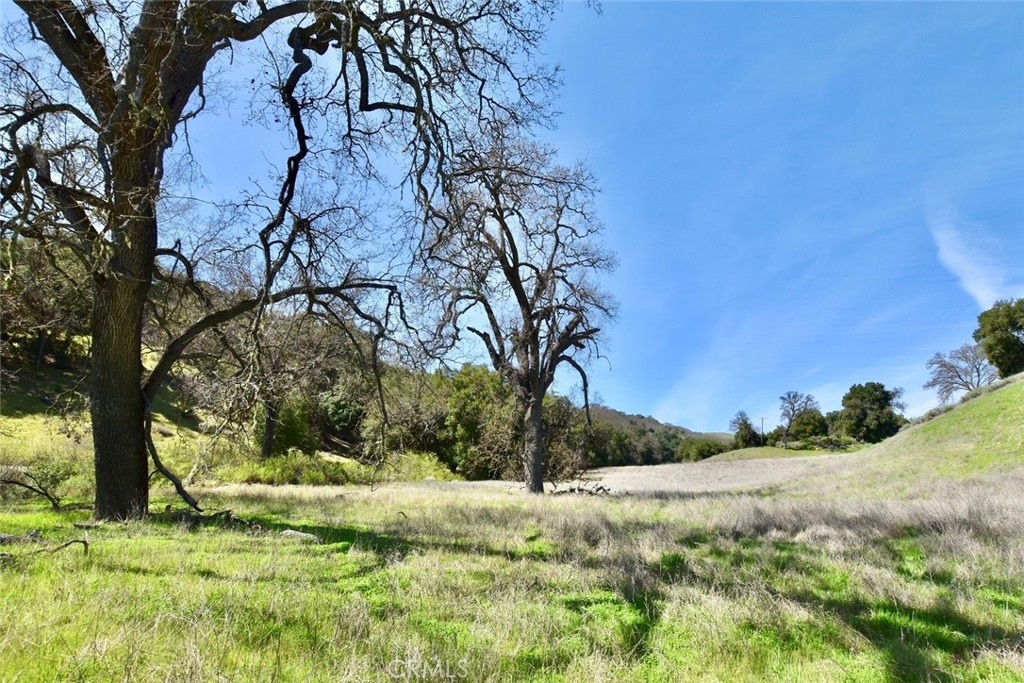 74921 Copperhead Road