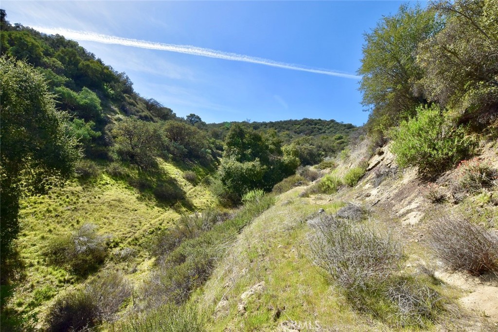 74921 Copperhead Road