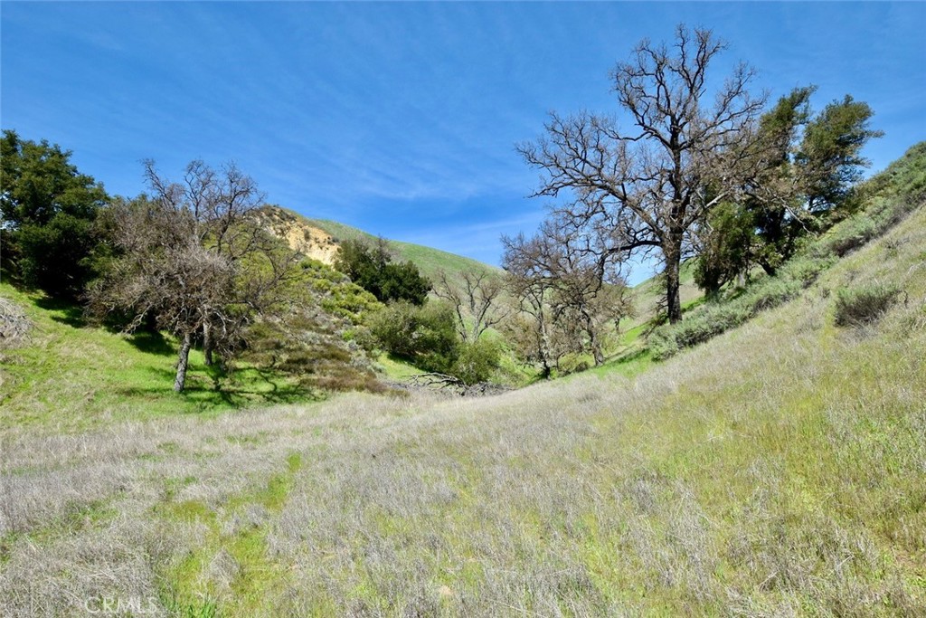 74921 Copperhead Road