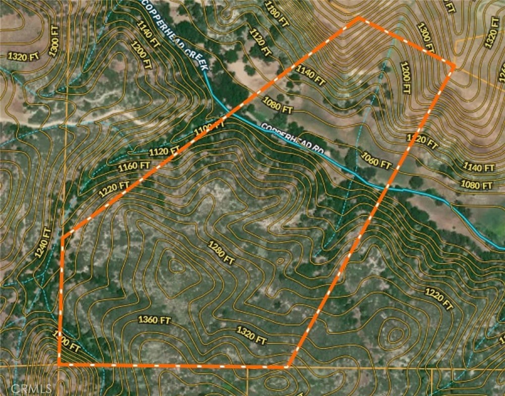 74921 Copperhead Road