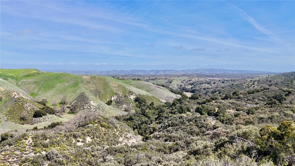 74921 Copperhead Road