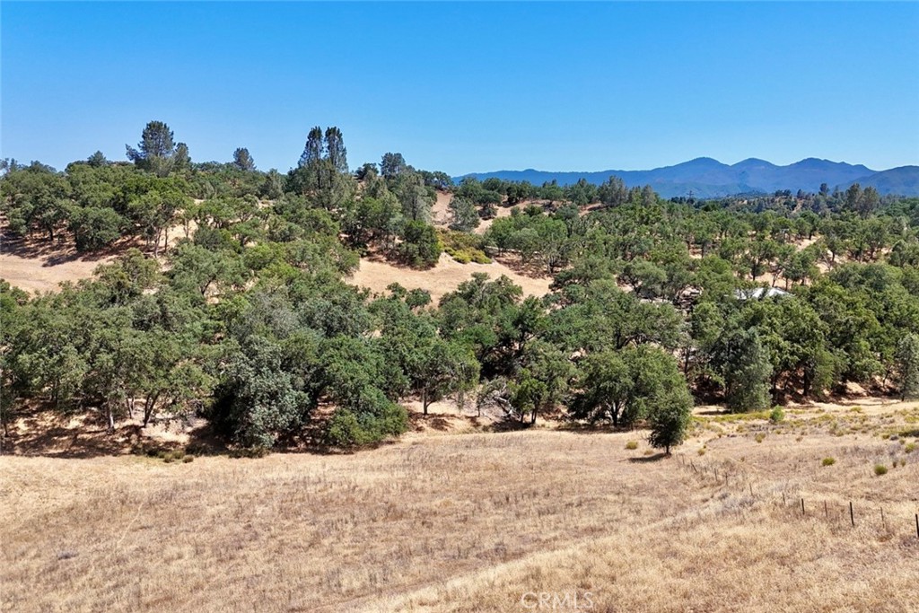 0 Bryson Hesperia Road