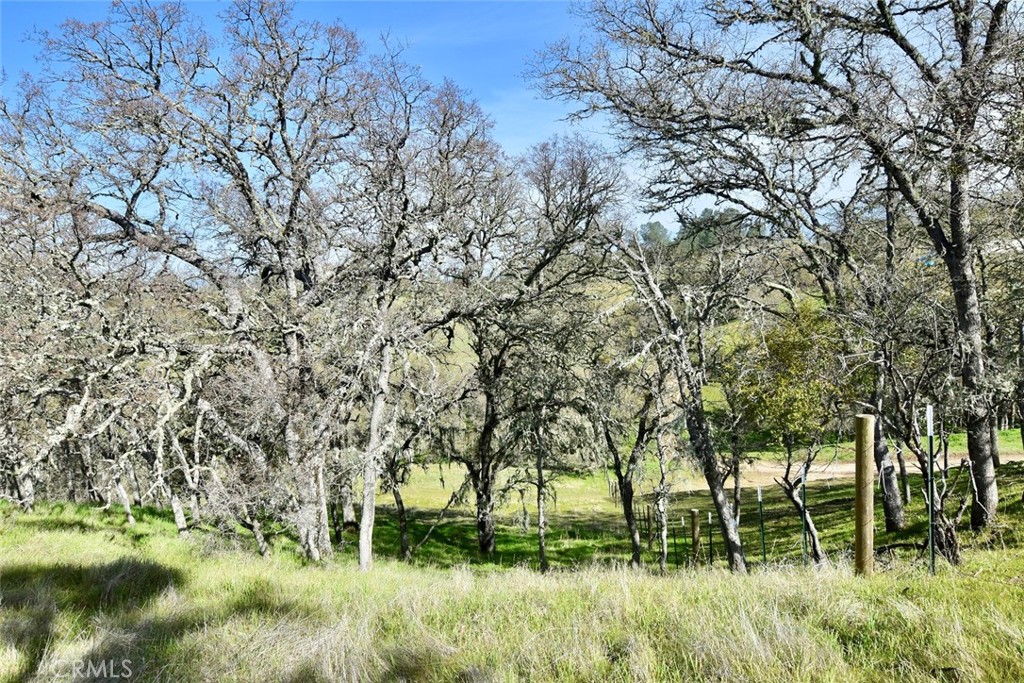 0 Bryson Hesperia Road