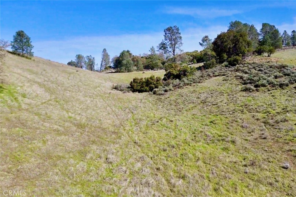 0 Bryson Hesperia Road