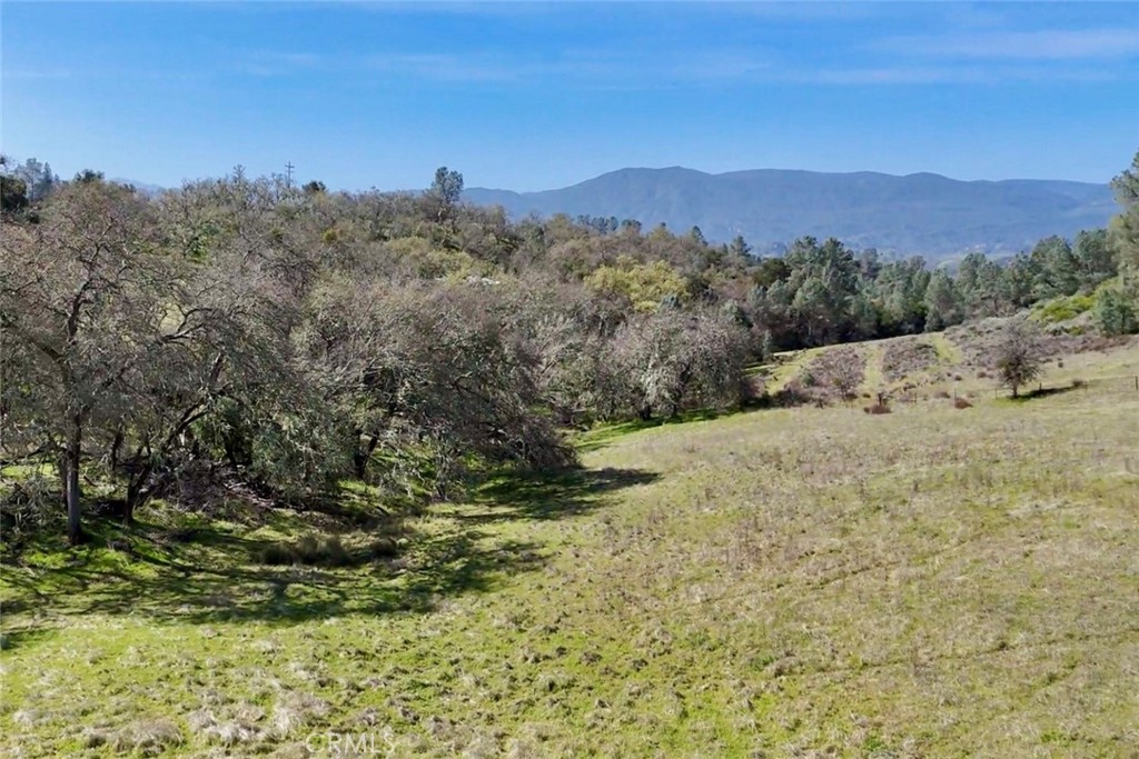 0 Bryson Hesperia Road