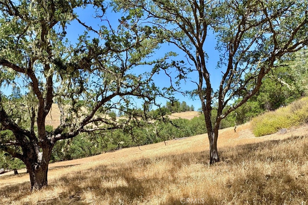 0 Bryson Hesperia Road