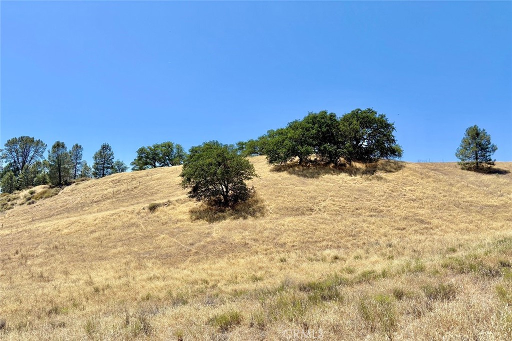 0 Bryson Hesperia Road