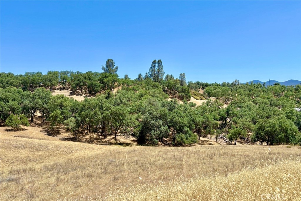 0 Bryson Hesperia Road