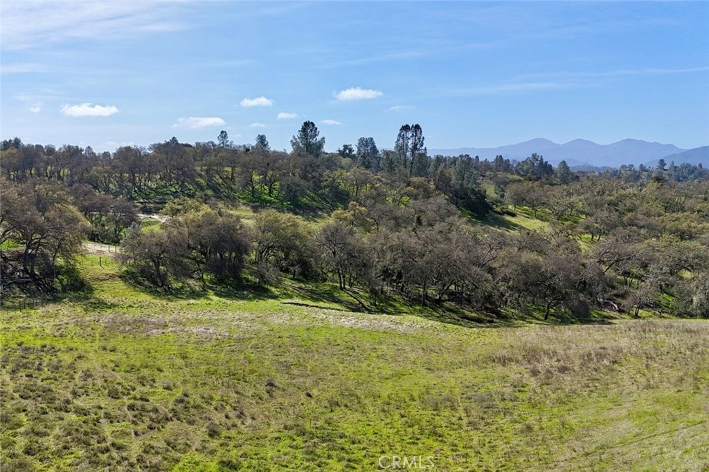 0 Bryson Hesperia Road