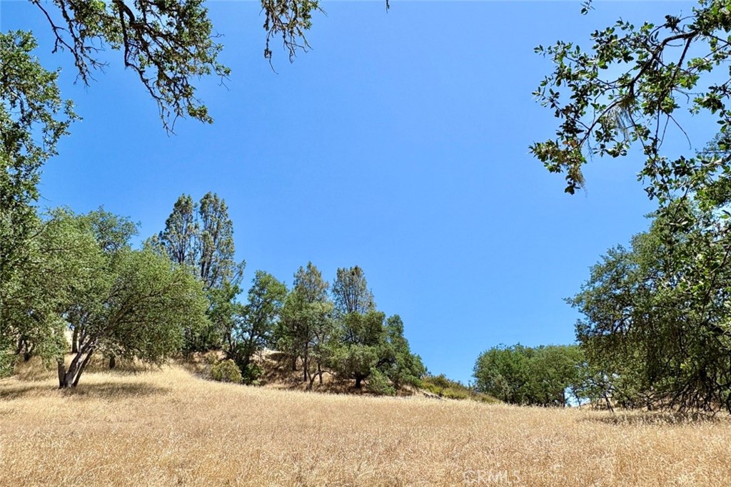 0 Bryson Hesperia Road