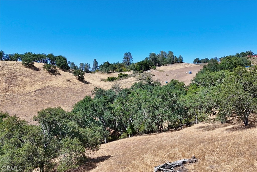 0 Bryson Hesperia Road